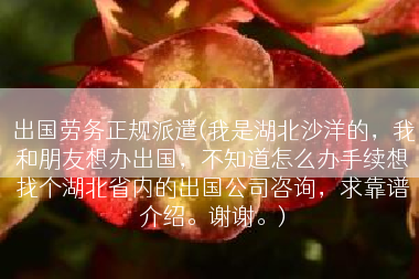 出国劳务正规派遣(我是湖北沙洋的，我和朋友想办出国，不知道怎么办手续想找个湖北省内的出国公司咨询，求靠谱介绍。谢谢。)