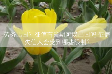 劳务出国？征信有逾期可以出国吗 征信失信人会受到哪些限制？