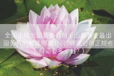 全国正规出国劳务公司（山东泰安最出国劳务的都选哪家公司?哪家公司正规些？得需要多少钱?）
