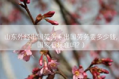 山东外经出国劳务（出国劳务要多少钱,国家有标准吗?）