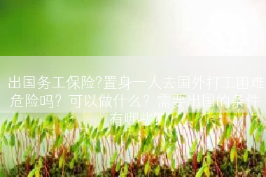 出国务工保险?置身一人去国外打工困难危险吗？可以做什么？需要出国的条件有哪些?