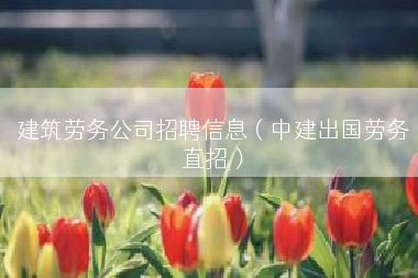 建筑劳务公司招聘信息（中建出国劳务直招）