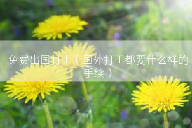 免费出国打工（国外打工都要什么样的手续）