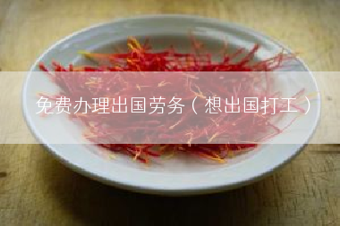 免费办理出国劳务（想出国打工）