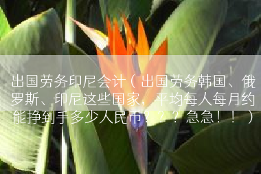出国劳务印尼会计（出国劳务韩国、俄罗斯、印尼这些国家，平均每人每月约能挣到手多少人民币？？？急急！！）