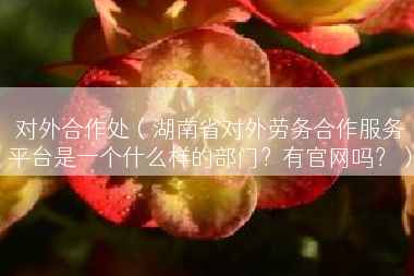 对外合作处（湖南省对外劳务合作服务平台是一个什么样的部门？有官网吗？）