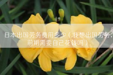 日本出国劳务费用多少（我想出国劳务，前期需要自己花钱吗）