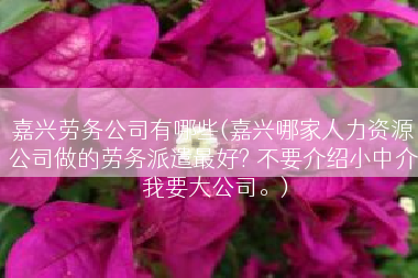 嘉兴劳务公司有哪些(嘉兴哪家人力资源公司做的劳务派遣最好? 不要介绍小中介 我要大公司。)