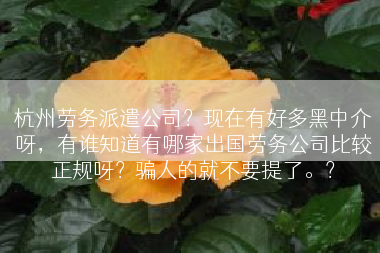 杭州劳务派遣公司？现在有好多黑中介呀，有谁知道有哪家出国劳务公司比较正规呀？骗人的就不要提了。？