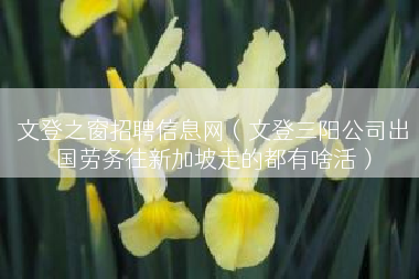 文登之窗招聘信息网（文登三阳公司出国劳务往新加坡走的都有啥活）