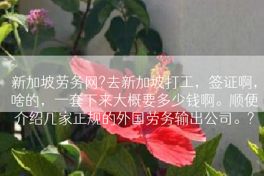 新加坡劳务网?去新加坡打工，签证啊，啥的，一套下来大概要多少钱啊。顺便介绍几家正规的外国劳务输出公司。?