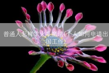 普通人怎样学火系魔法(个人如何申请出国工作)