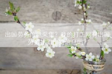出国劳务信息采集？我的打工网有出国劳务找工作的信息吗？