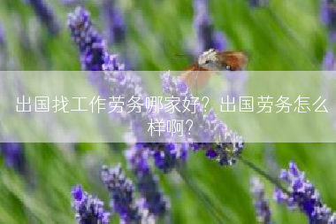 出国找工作劳务哪家好？出国劳务怎么样啊？