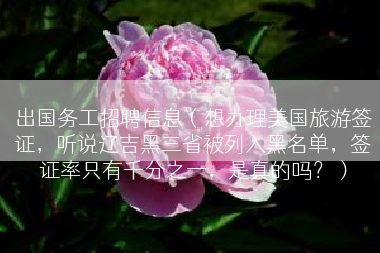 出国务工招聘信息（想办理美国旅游签证，听说辽吉黑三省被列入黑名单，签证率只有千分之一，是真的吗？）