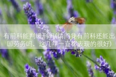 有前科能判缓刑吗(请问我有前科还能出国劳务吗，这几年一直都表现的很好)