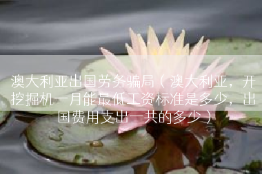 澳大利亚出国劳务骗局（澳大利亚，开挖掘机一月能最低工资标准是多少，出国费用支出一共的多少）