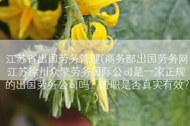 江苏省出国劳务管理(商务部出国劳务网江苏徐州众擎劳务国际公司是一家正规的出国劳务公司吗？资职是否真实有效？)