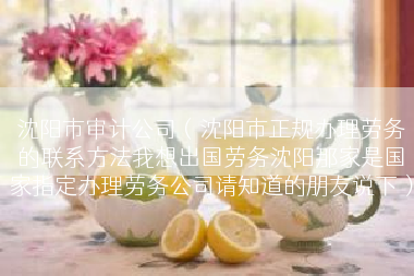 沈阳市审计公司（沈阳市正规办理劳务的联系方法我想出国劳务沈阳那家是国家指定办理劳务公司请知道的朋友说下）