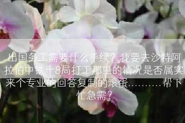 出国务工需要什么手续？我要去沙特阿拉伯中铁十8局打工那里的情况是否属实来个专业的回答复制的滚蛋..........帮下忙急需？