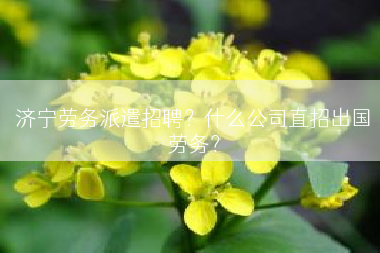 济宁劳务派遣招聘？什么公司直招出国劳务？