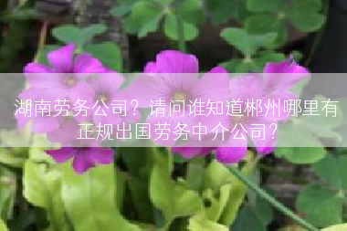 湖南劳务公司？请问谁知道郴州哪里有正规出国劳务中介公司？