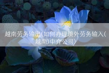 越南劳务输出(如何办理境外劳务输入(越南)中介公司)