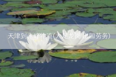 天津到赤峰物流(大足龙岗 出国劳务)