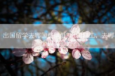 出国留学去哪国费用低?出国打工，去哪个国家最好?