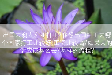 出国去澳大利亚打工?我想出国打工去哪个国家打工比较好,工资比较高?如果去的话应该怎么去?怎样的流程?