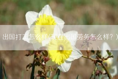 出国打工怎么样(现在出国劳务怎么样？)