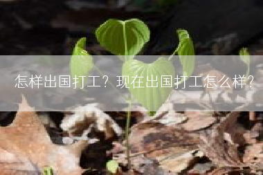 怎样出国打工？现在出国打工怎么样？