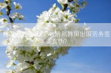 韩国劳务签证?怎么辨别韩国出国劳务签证真伪?