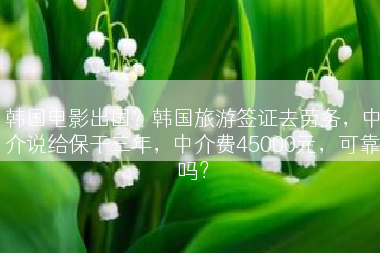 韩国电影出国？韩国旅游签证去劳务，中介说给保干三年，中介费45000元，可靠吗？