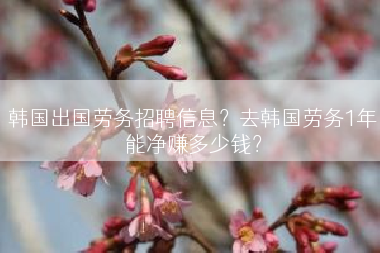 韩国出国劳务招聘信息？去韩国劳务1年能净赚多少钱？