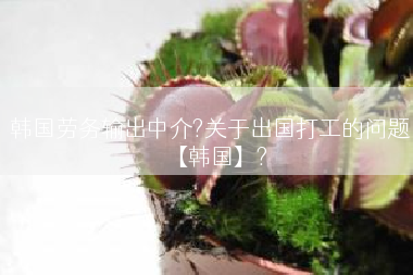 韩国劳务输出中介?关于出国打工的问题【韩国】?