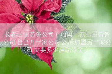 长春出国劳务公司（加盟一家出国劳务公司 自己开一家公司 然后加盟另一家公司 需要多少启动资金）