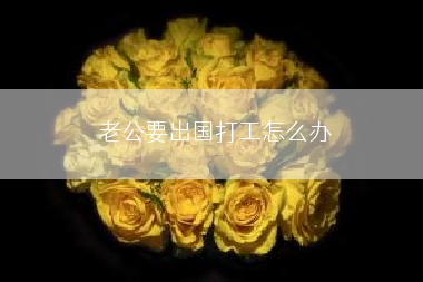 老公要出国打工怎么办