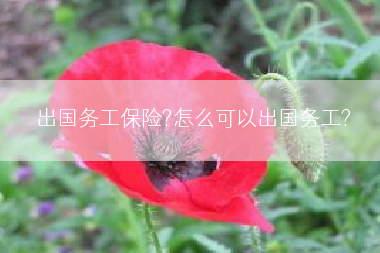 出国务工保险?怎么可以出国务工?