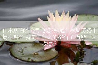 佳木斯物流公司电话?知道佳木斯劳务市场在哪么 就是干什么的都有了 万能工之类的?