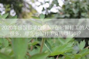 2020年出国留学数据?现在出国打工的人很多，那么出国打工真的赚钱吗?