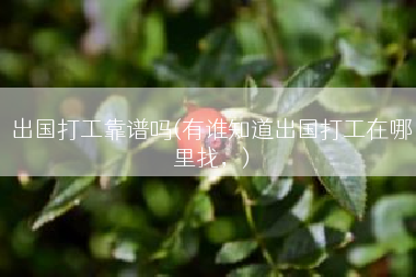 出国打工靠谱吗(有谁知道出国打工在哪里找，)