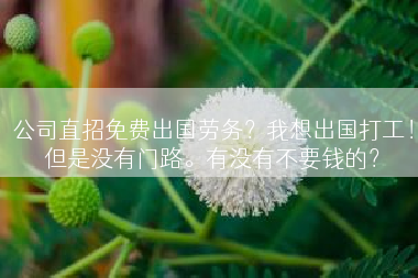 公司直招免费出国劳务？我想出国打工！但是没有门路。有没有不要钱的？
