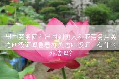 出国劳务网？出国到奥大利亚劳务用英语四级证吗急着办英语四级证。有什么办法吗？