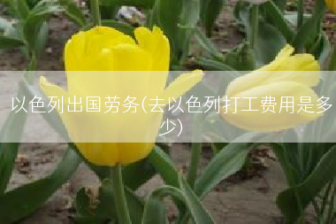 以色列出国劳务(去以色列打工费用是多少)