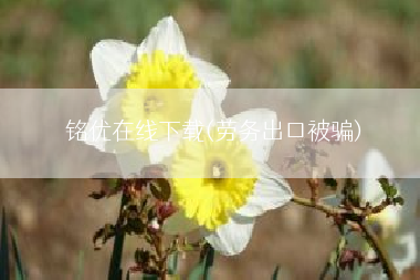 铭优在线下载(劳务出口被骗)