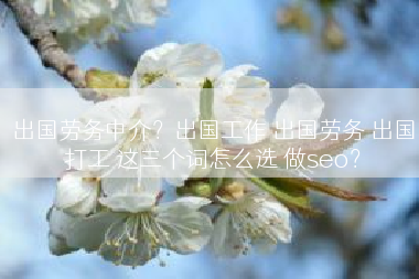 出国劳务中介？出国工作 出国劳务 出国打工 这三个词怎么选 做seo？