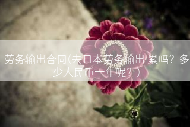 劳务输出合同(去日本劳务输出 累吗？多少人民币一年呢？)