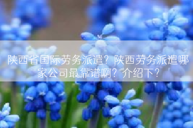 陕西省国际劳务派遣？陕西劳务派遣哪家公司最靠谱啊？介绍下？