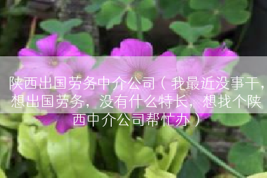 陕西出国劳务中介公司（我最近没事干，想出国劳务，没有什么特长，想找个陕西中介公司帮忙办）